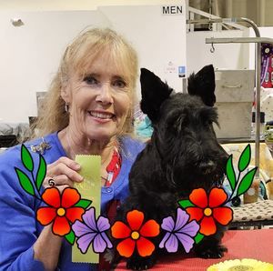 Meet your Posher, Candace